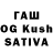 Канабис семена Shiva90523