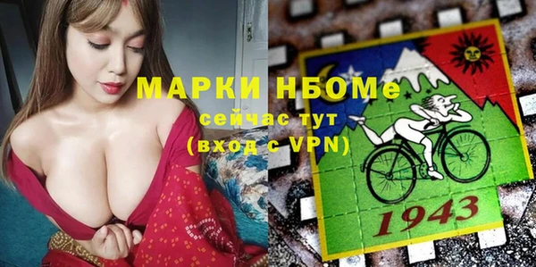 метадон Алексин