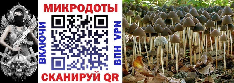 купить наркотик  Коркино  Галлюциногенные грибы ЛСД 